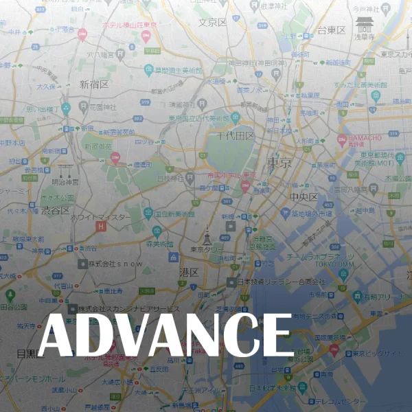 アドバンス 12か月