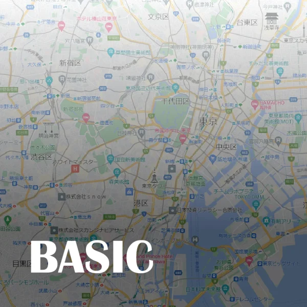 ベーシック 12か月